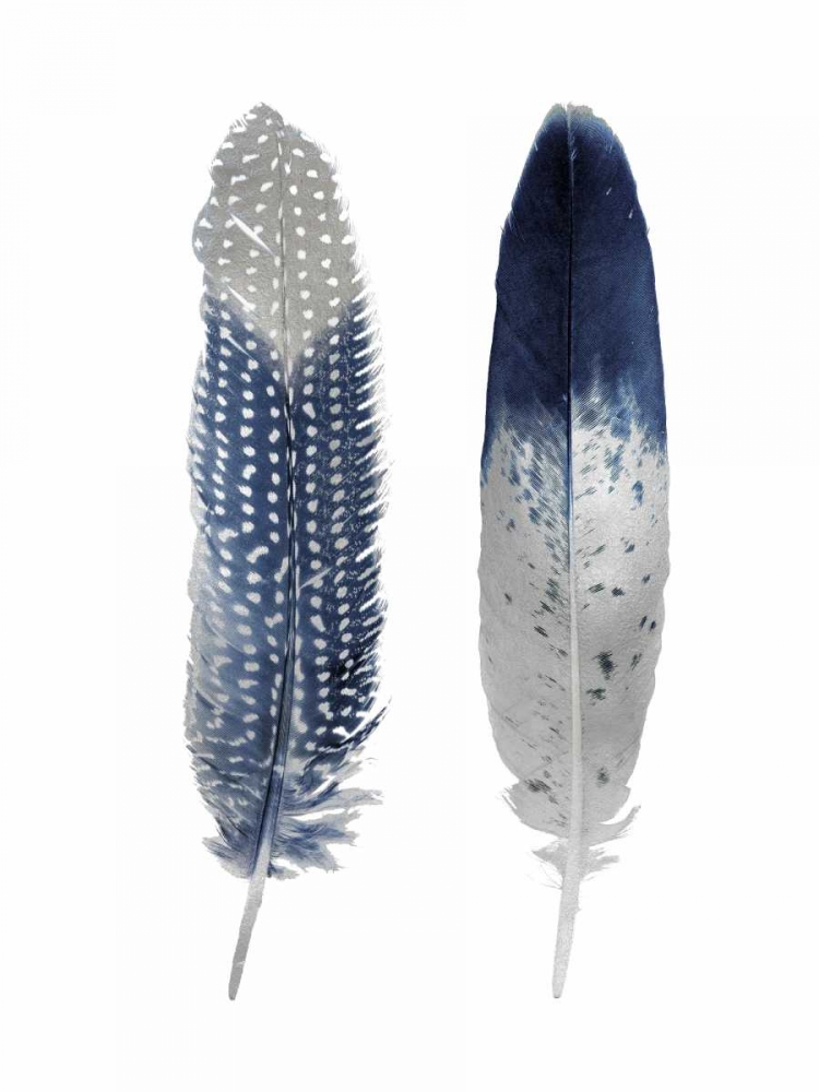 Blue Feather Pair art print by Julia Bosco for $57.95 CAD