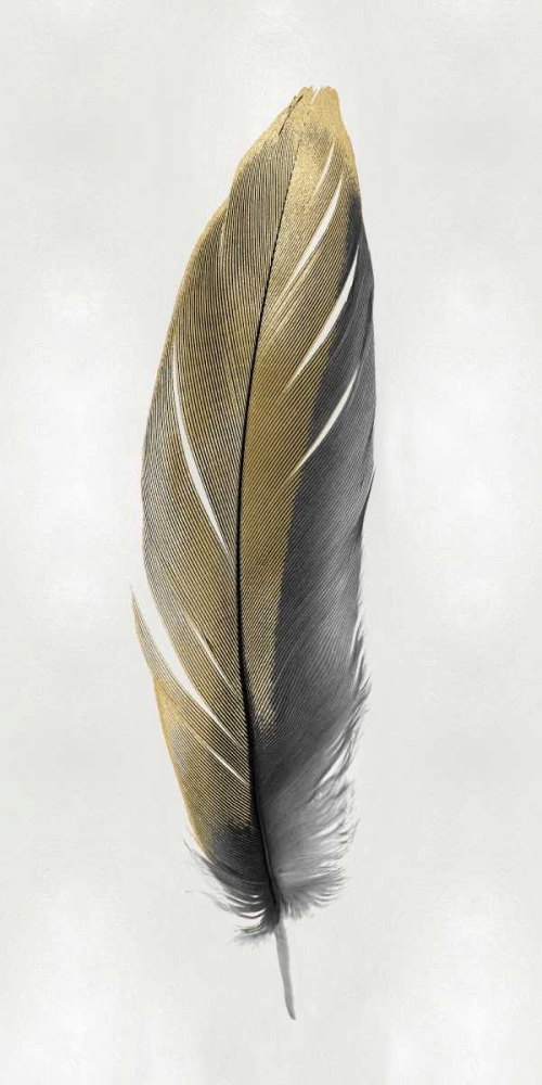Gold Feather on Silver II art print by Julia Bosco for $57.95 CAD
