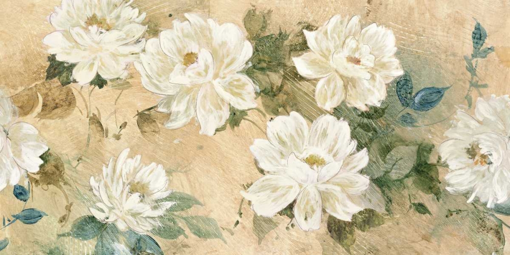 White Petals art print by Jil Wilcox for $57.95 CAD