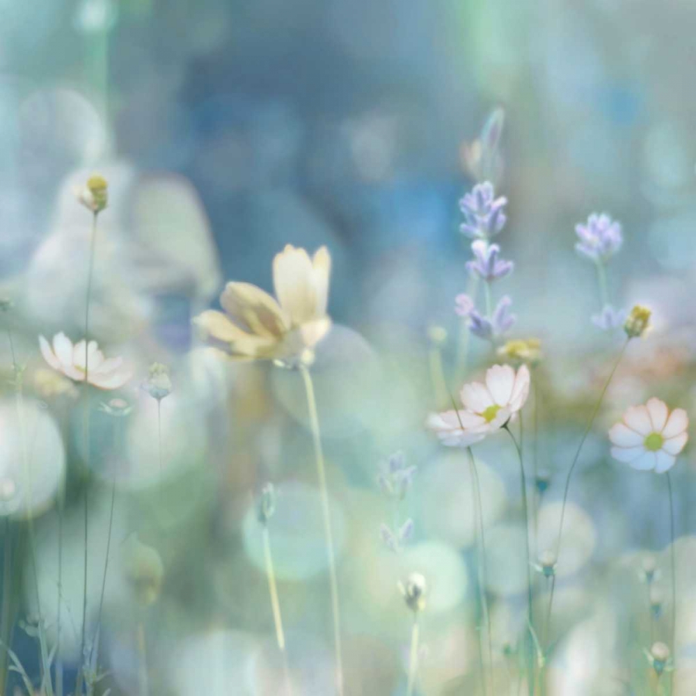 Morning Meadow II art print by Kate Carrigan for $57.95 CAD