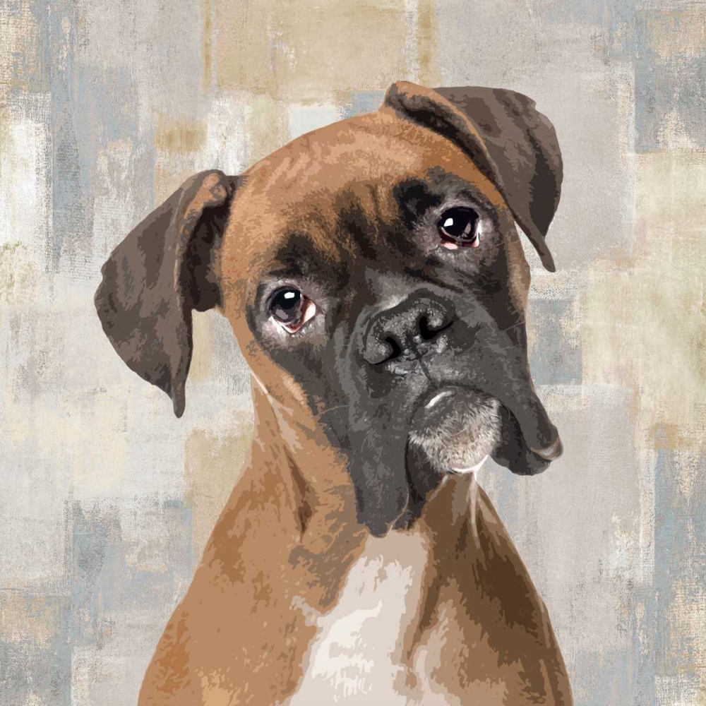 Boxer art print by Keri Rodgers for $57.95 CAD