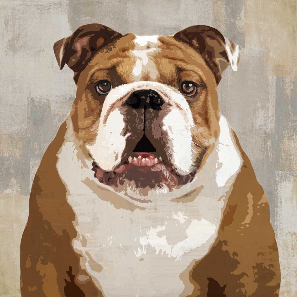 Bulldog art print by Keri Rodgers for $57.95 CAD