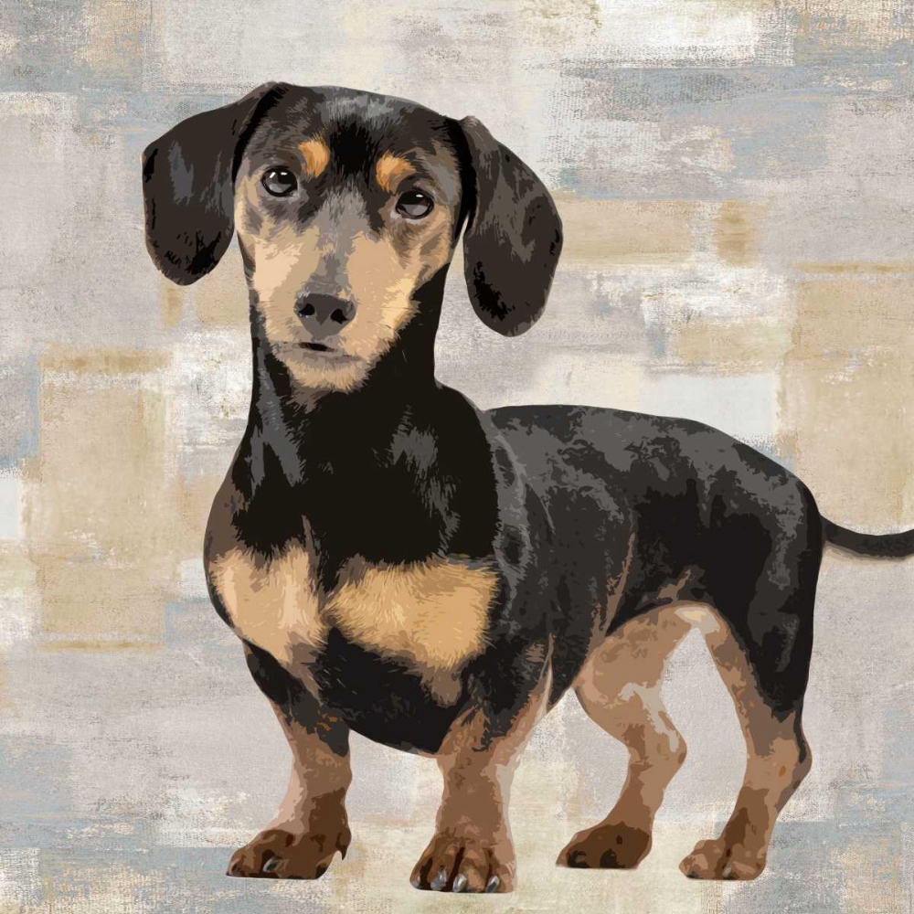 Dachshund art print by Keri Rodgers for $57.95 CAD