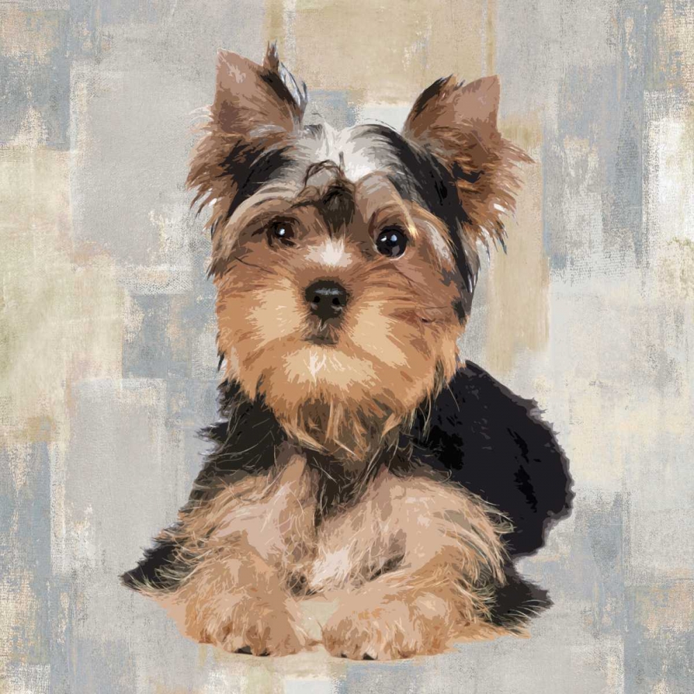 Yorkshire Terrier art print by Keri Rodgers for $57.95 CAD