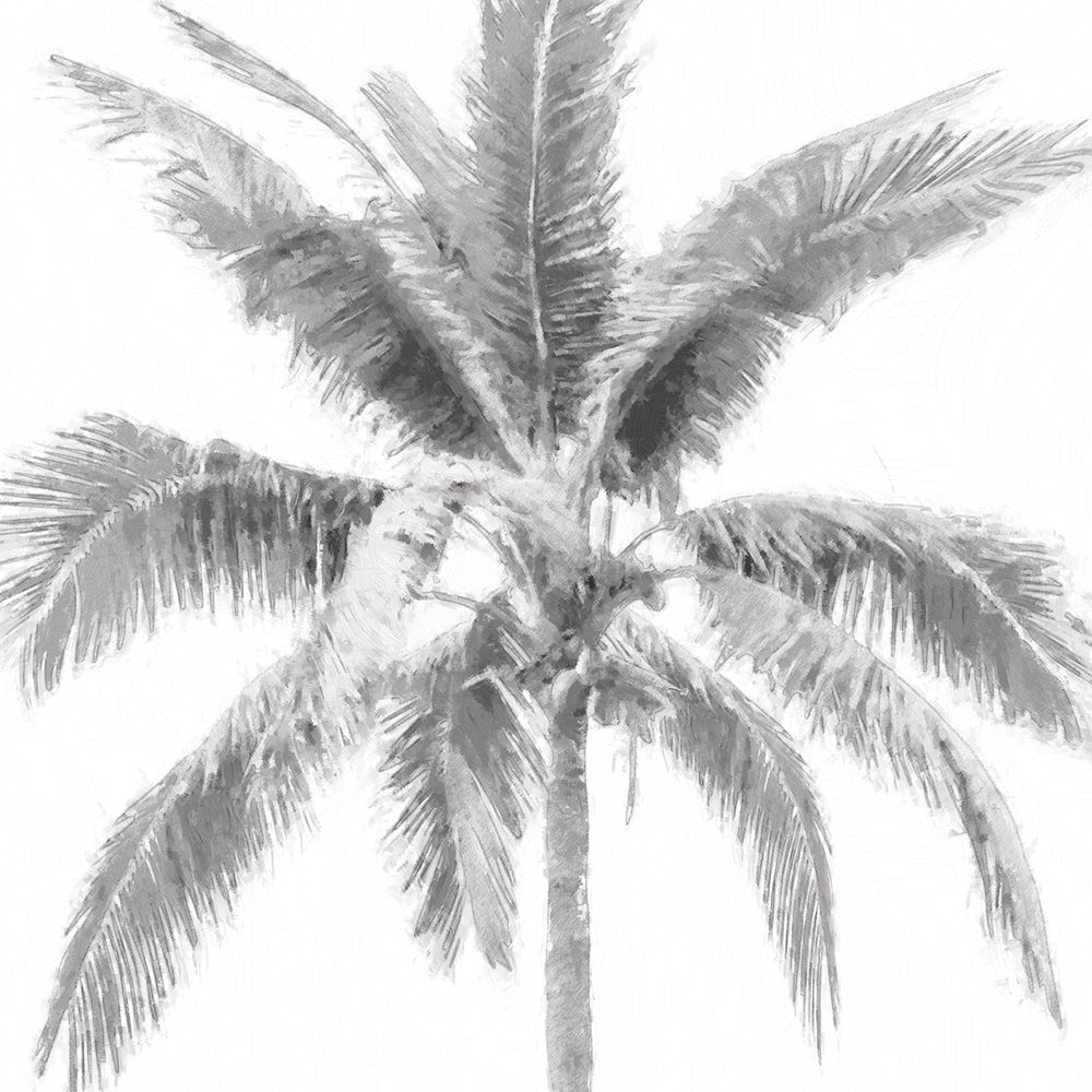 Gray Palm I art print by Kristen Drew for $57.95 CAD