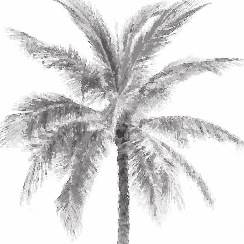 Gray Palm II art print by Kristen Drew for $57.95 CAD