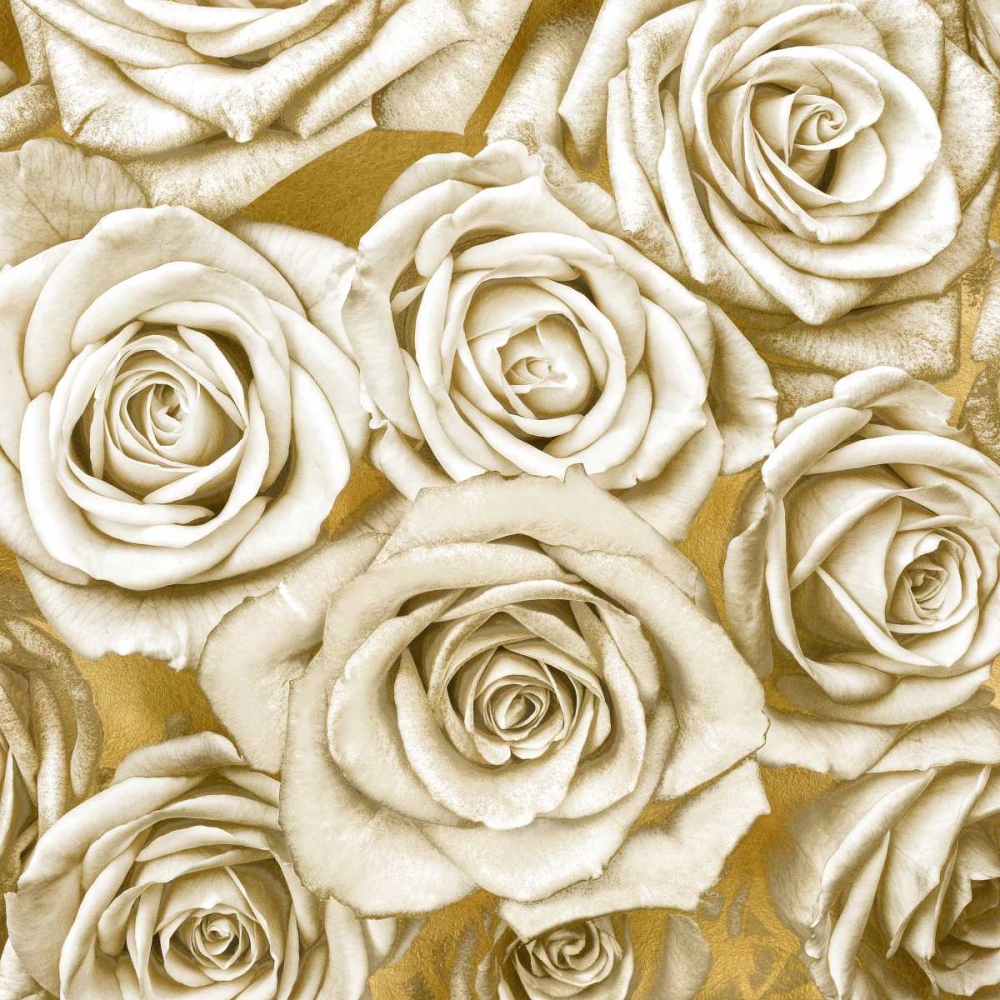 Ivory Roses on Gold art print by Kate Bennett for $57.95 CAD