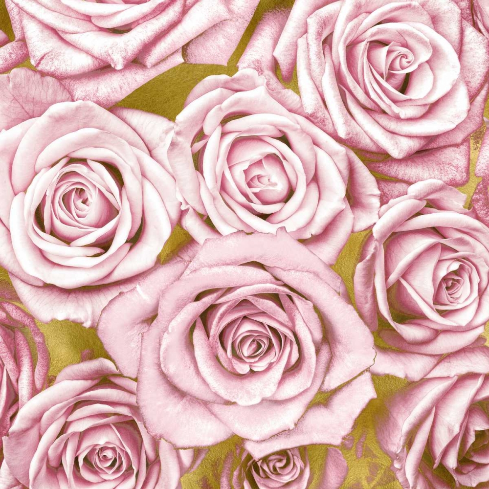 Pink Roses on Gold art print by Kate Bennett for $57.95 CAD