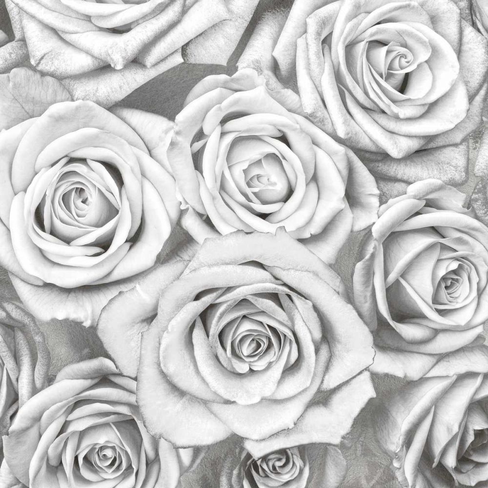 Roses - White on Silver art print by Kate Bennett for $57.95 CAD