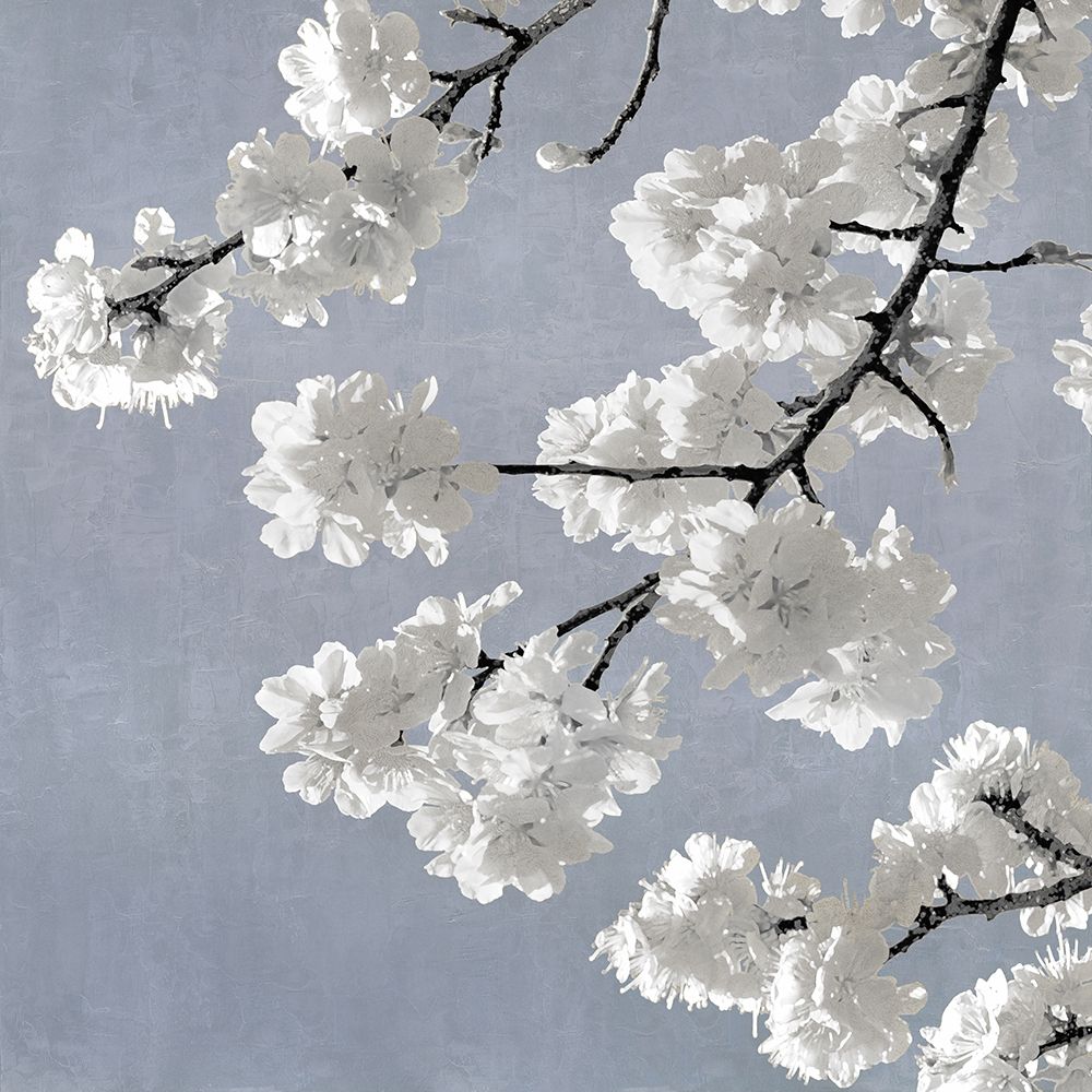 Blossoms on Blue II art print by Kate Bennett for $57.95 CAD