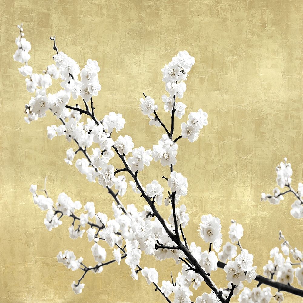 Blossoms on Gold I art print by Kate Bennett for $57.95 CAD