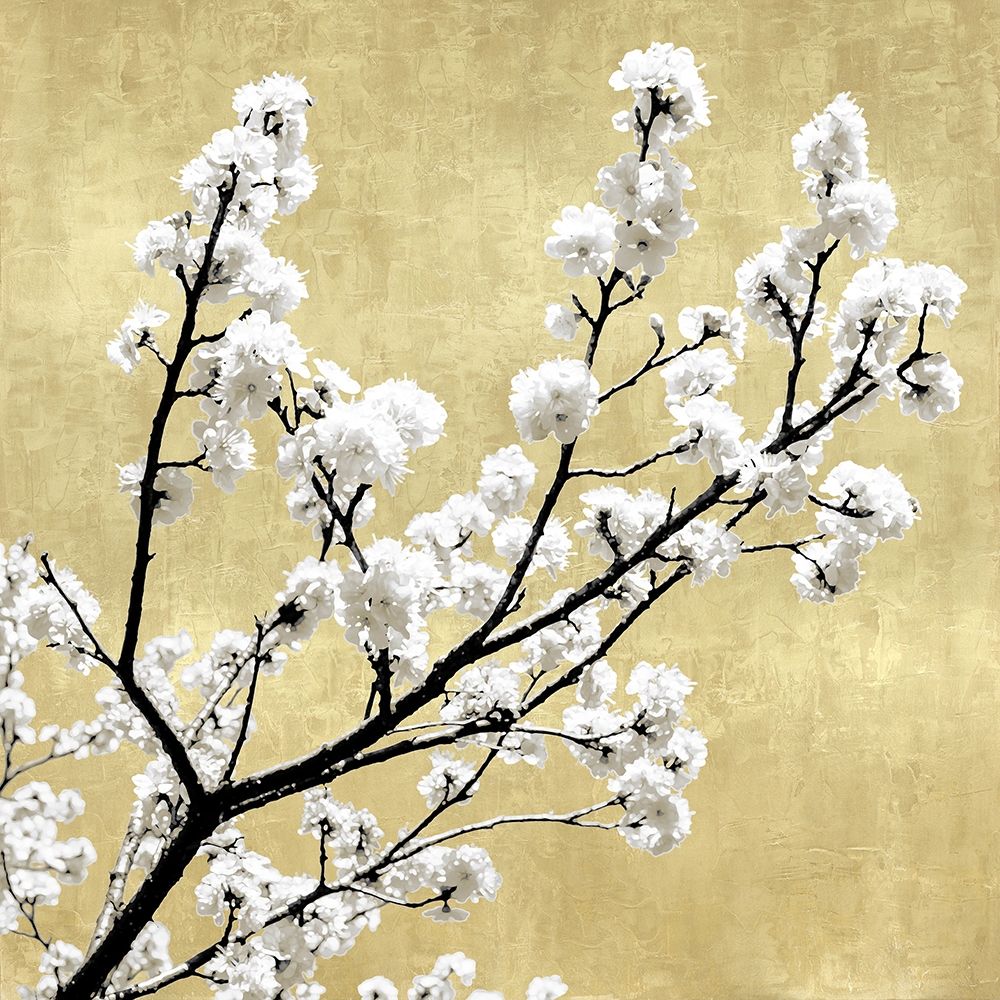 Blossoms on Gold II art print by Kate Bennett for $57.95 CAD