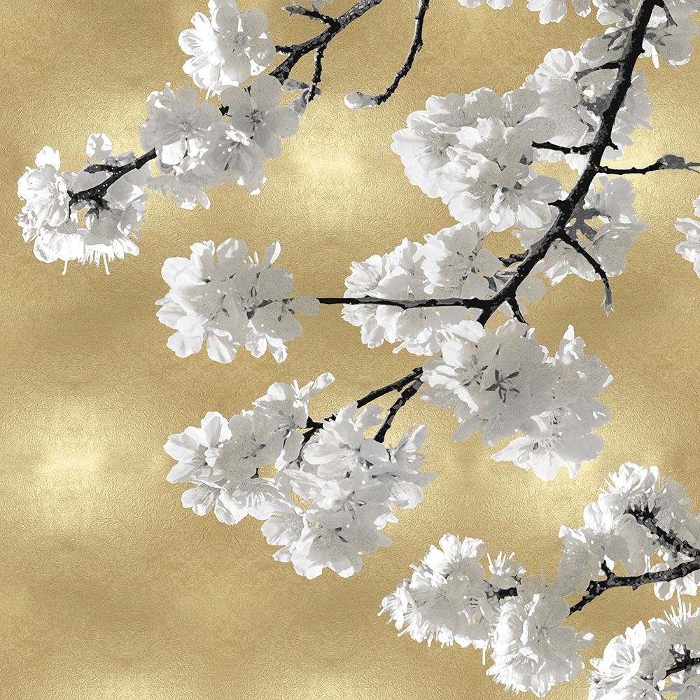 Blossoms on Gold IV art print by Kate Bennett for $57.95 CAD