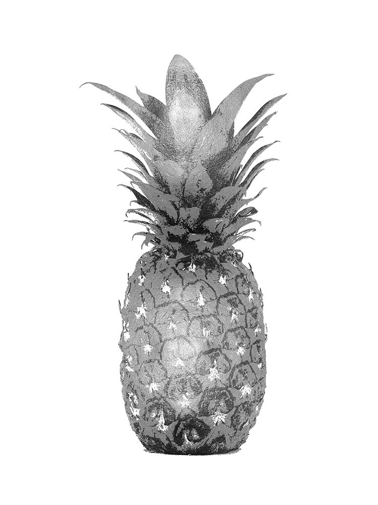 Pineapple Gray I art print by Kate Bennett for $57.95 CAD