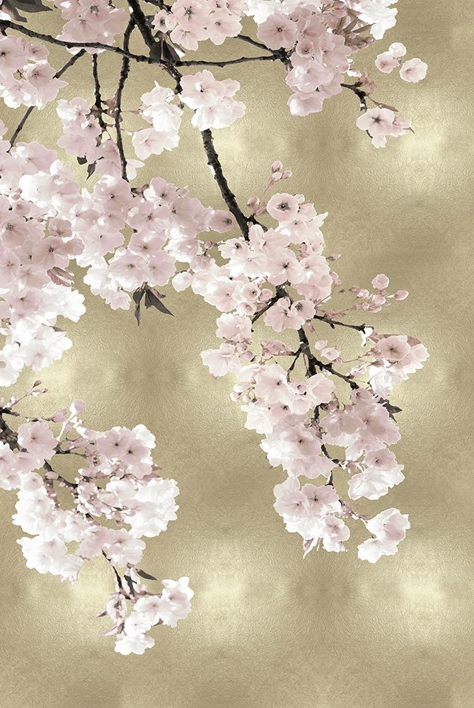 Pink Blossoms on Gold I art print by Kate Bennett for $57.95 CAD