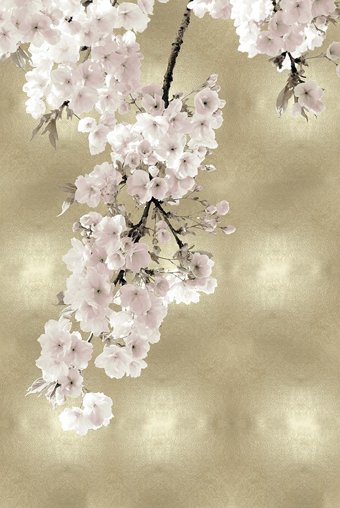 Pink Blossoms on Gold II art print by Kate Bennett for $57.95 CAD