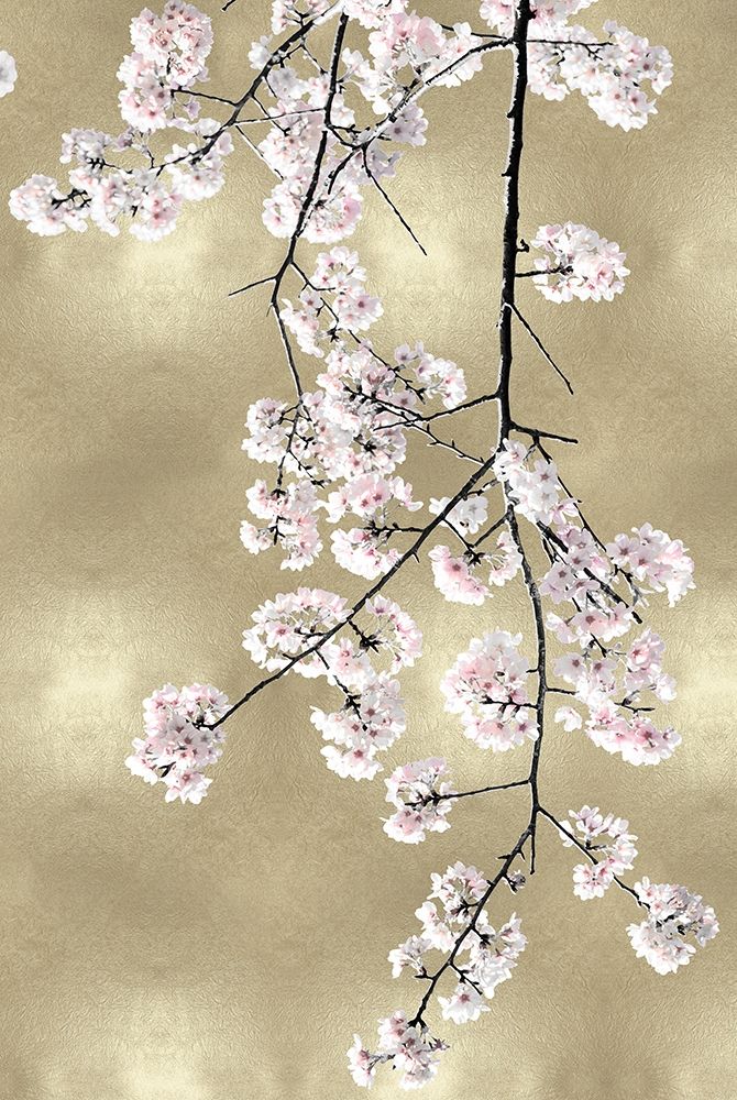 Pink Blossoms on Gold III art print by Kate Bennett for $57.95 CAD