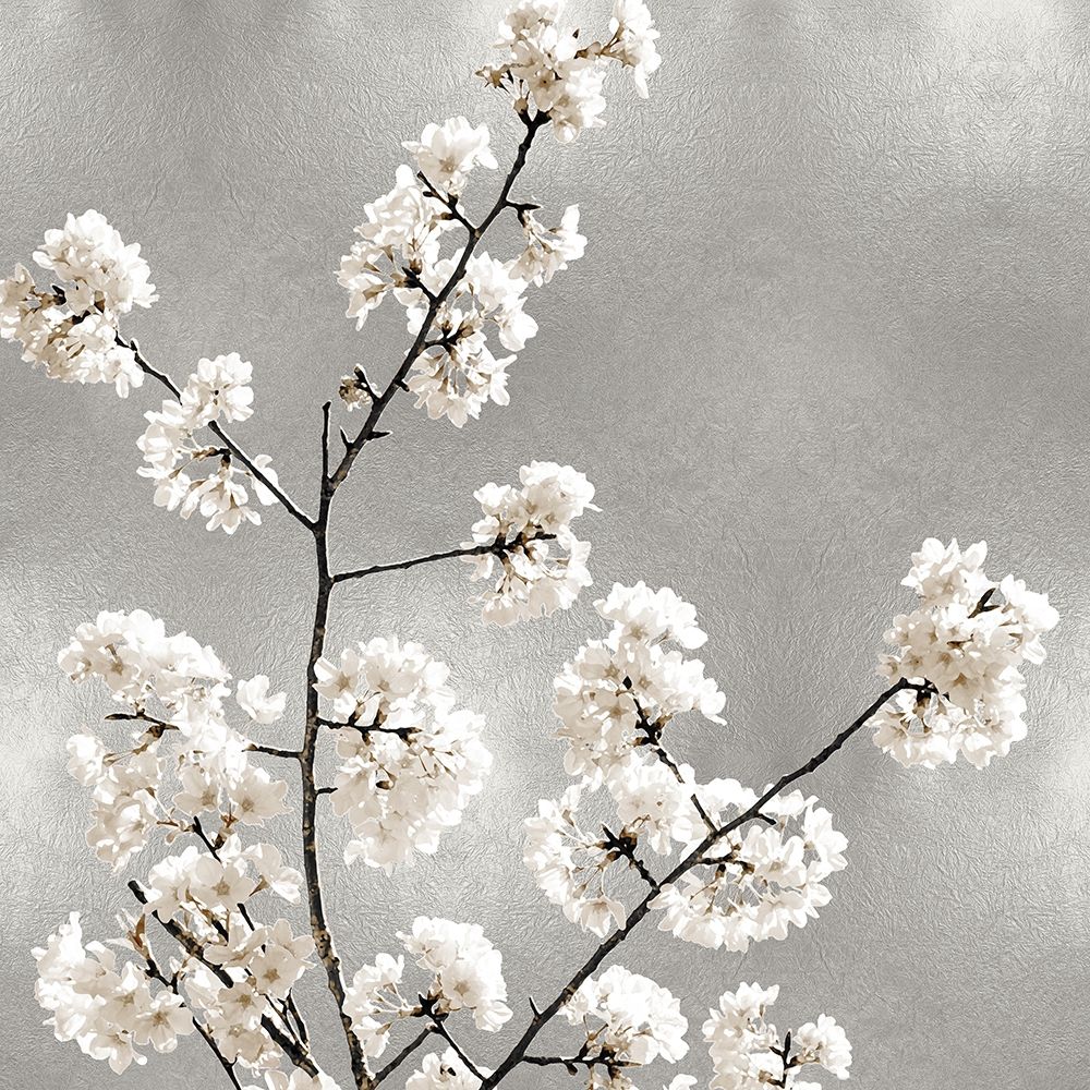 Silver Blossoms I art print by Kate Bennett for $57.95 CAD