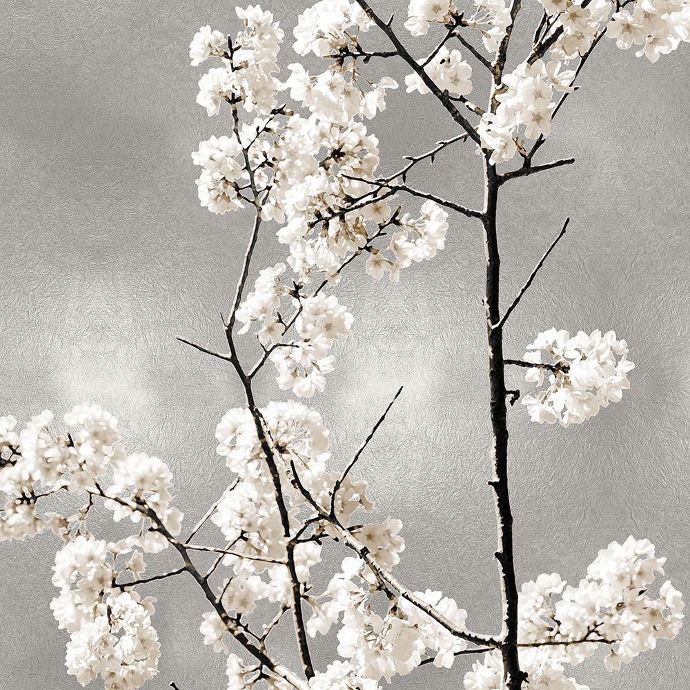Silver Blossoms II art print by Kate Bennett for $57.95 CAD