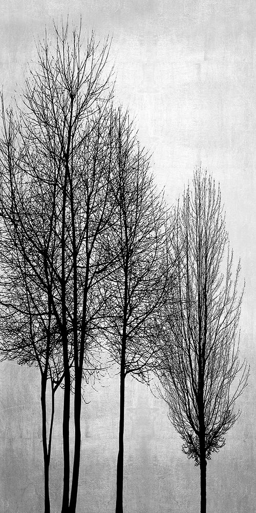 Trees on Silver Panel I art print by Kate Bennett for $57.95 CAD