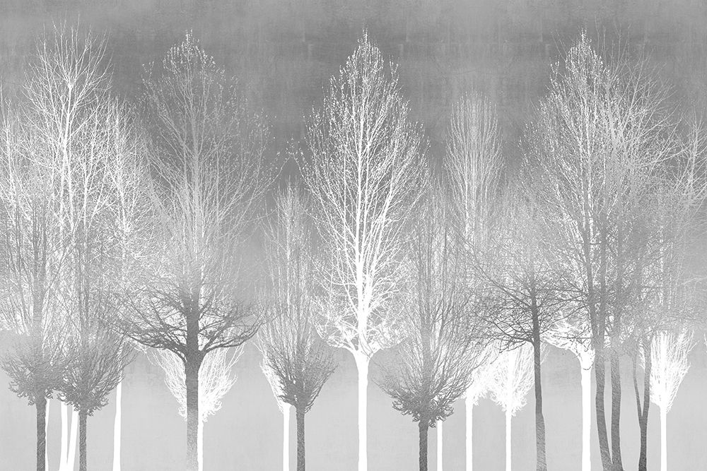 Silver Trees art print by Kate Bennett for $57.95 CAD