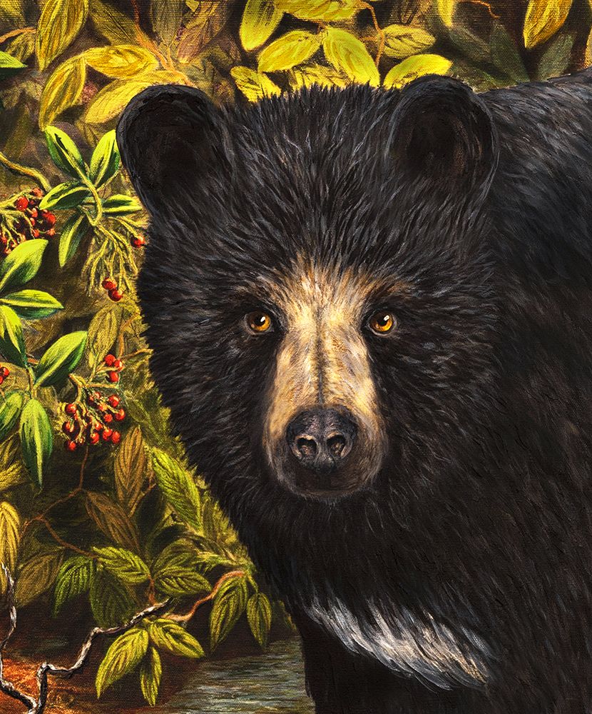 Black Bear Stream (Detail) art print by Linda Sullivan Mataya for $57.95 CAD
