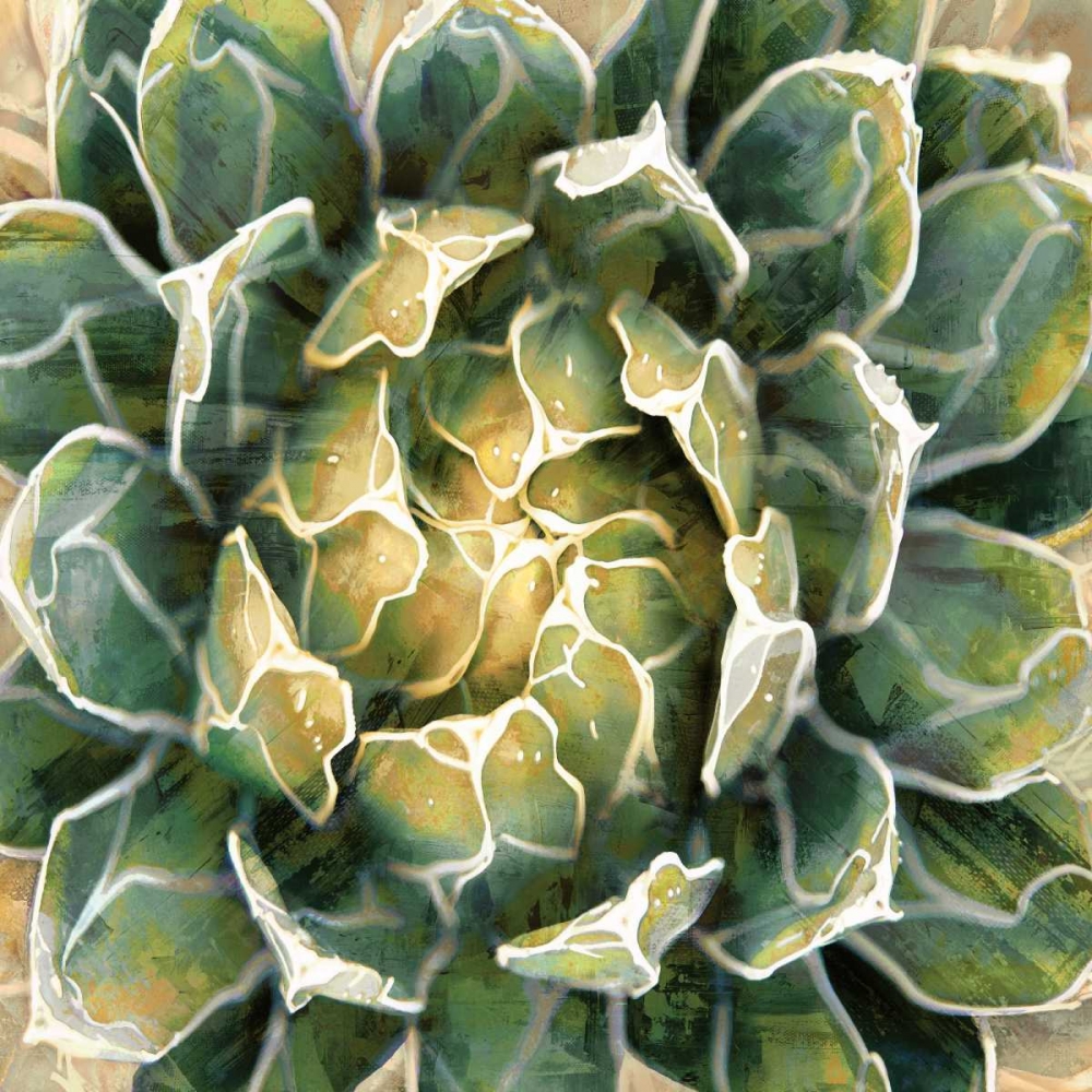 Succulent III art print by Lindsay Benson for $57.95 CAD