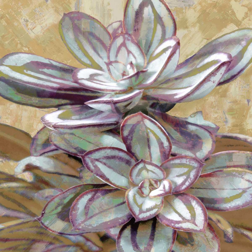 Succulent IV art print by Lindsay Benson for $57.95 CAD