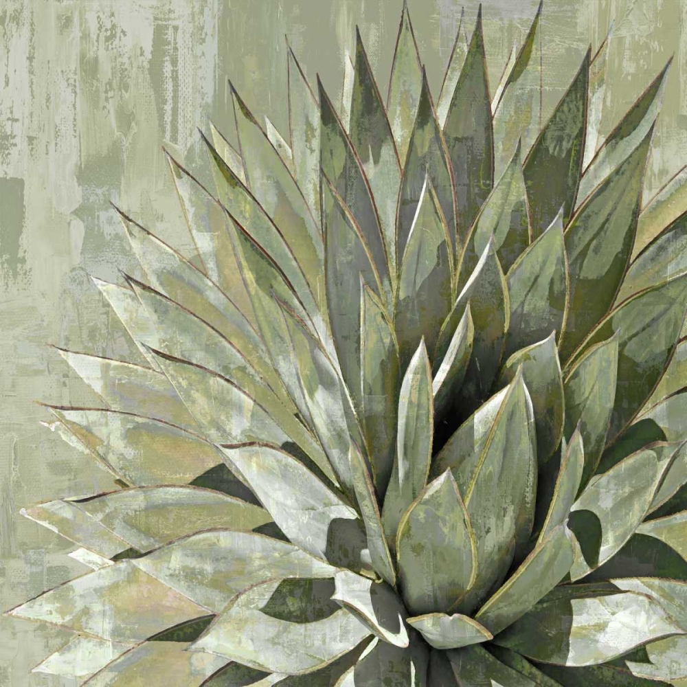 Succulent Verde I art print by Lindsay Benson for $57.95 CAD