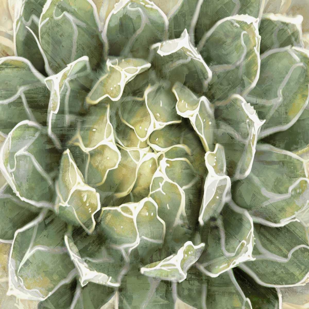 Succulent Verde III art print by Lindsay Benson for $57.95 CAD