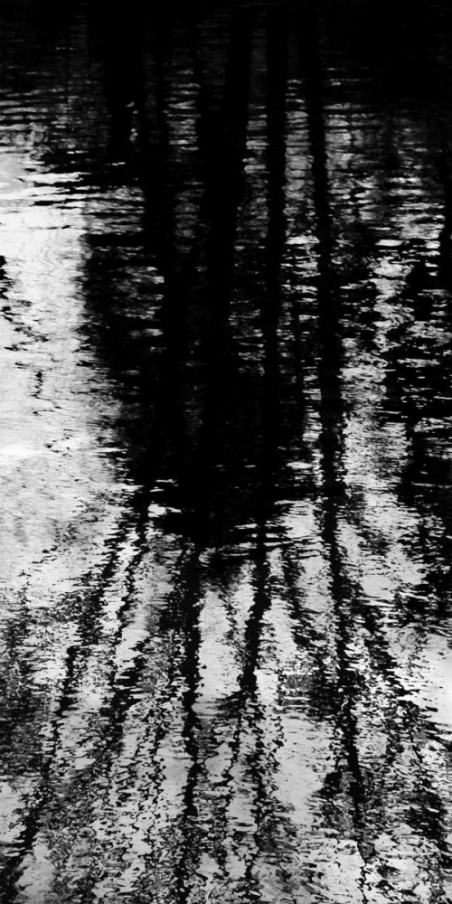 Reflecting Triptych I art print by Michael Barrett for $57.95 CAD