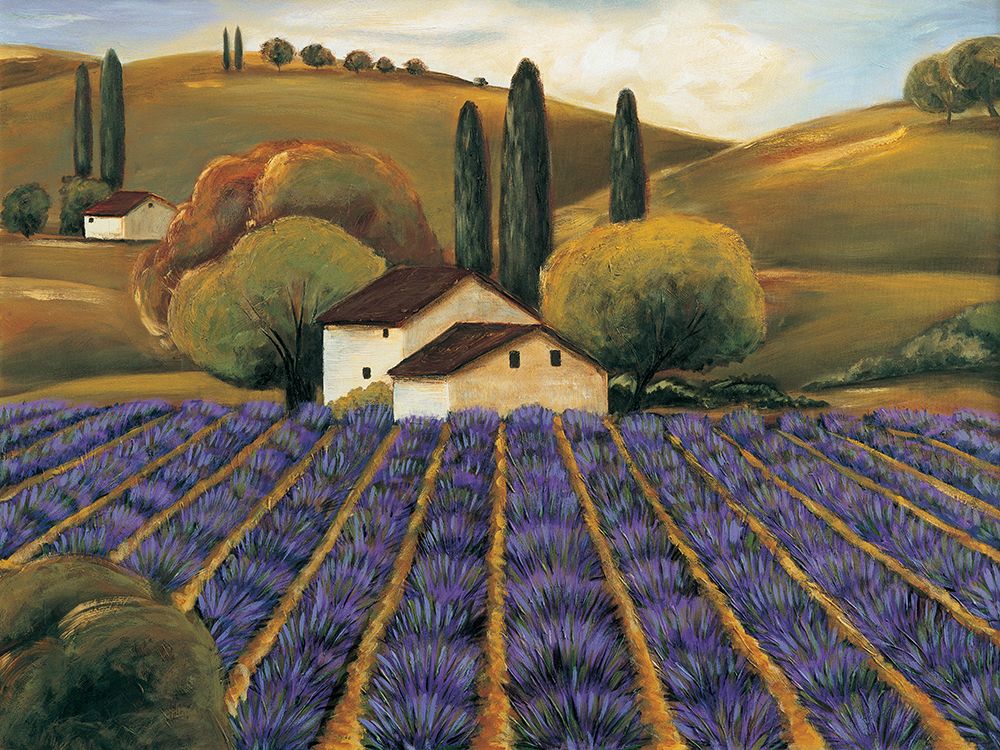 Field of Lavender I art print by Michael Cooper for $57.95 CAD
