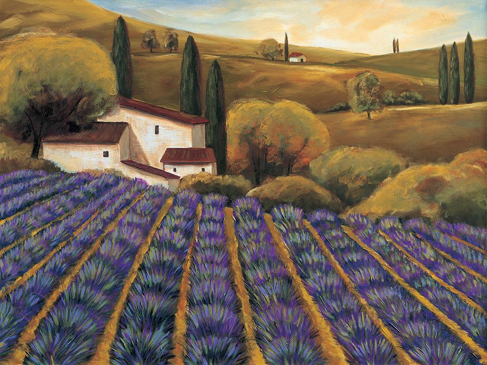 Field of Lavender II art print by Michael Cooper for $57.95 CAD