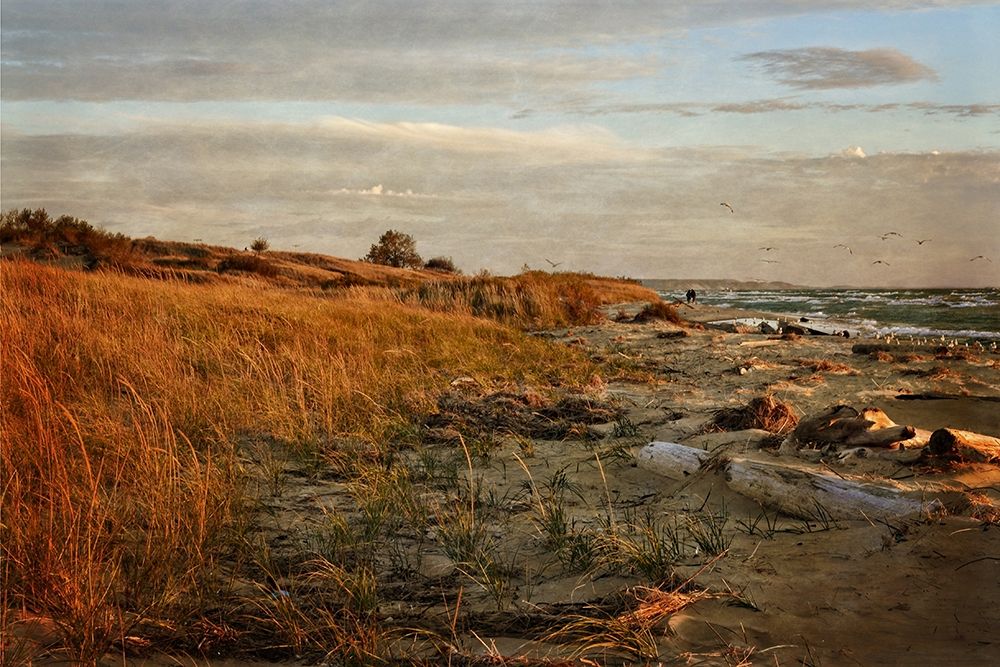 Autumn At The Mouth Of The Big Sable  art print by Michelle Calkins for $57.95 CAD
