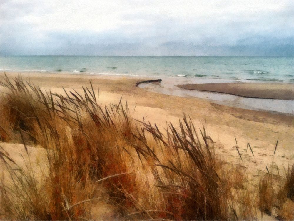 Pier Cove Beach With Autumn Grasses  art print by Michelle Calkins for $57.95 CAD