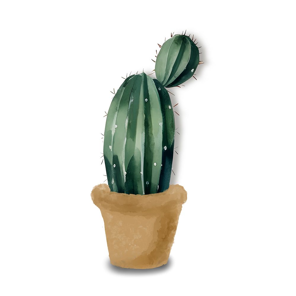 Cactus Pot II art print by Amber Clarkson for $57.95 CAD
