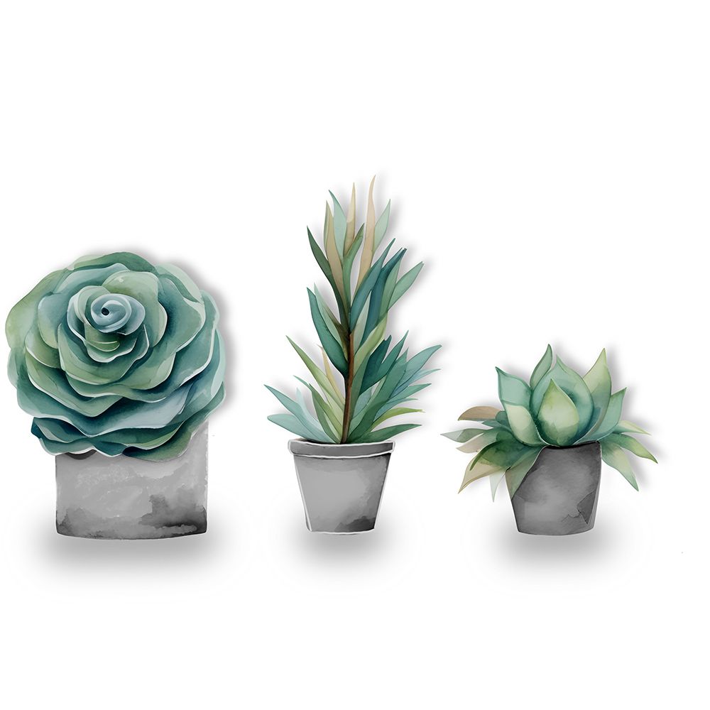 Succlent Trio art print by Amber Clarkson for $57.95 CAD