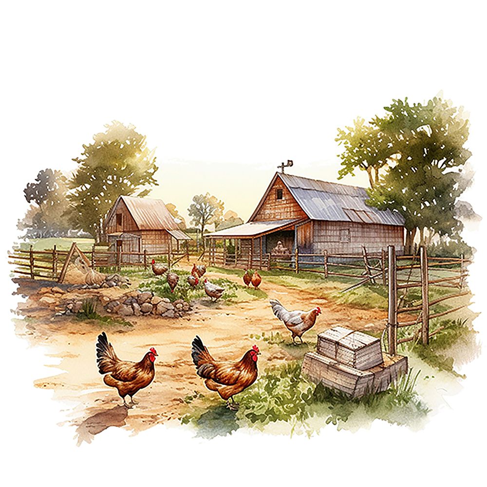 Chicken Barn art print by Amber Clarkson for $57.95 CAD