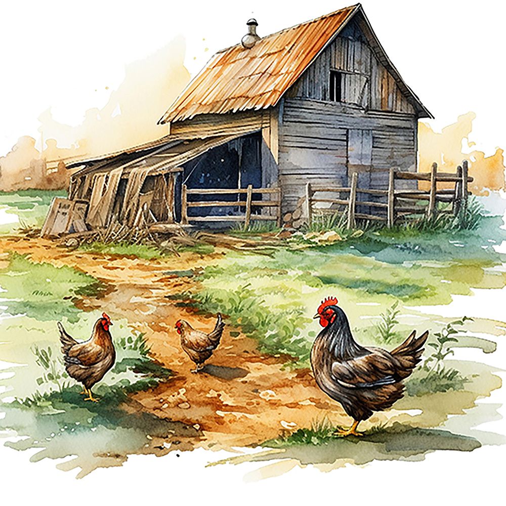 Chicken Barn III art print by Amber Clarkson for $57.95 CAD