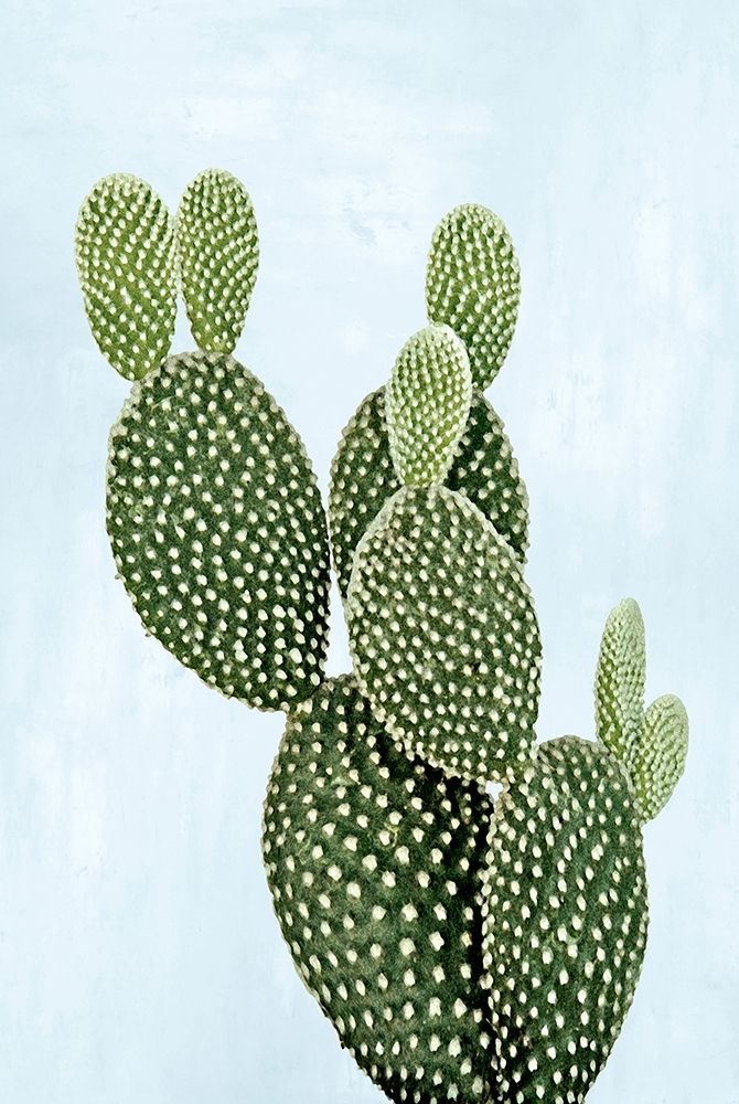 Cactus on Blue V art print by Mia Jensen for $57.95 CAD