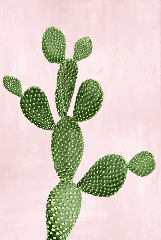Cactus on Pink VII art print by Mia Jensen for $57.95 CAD