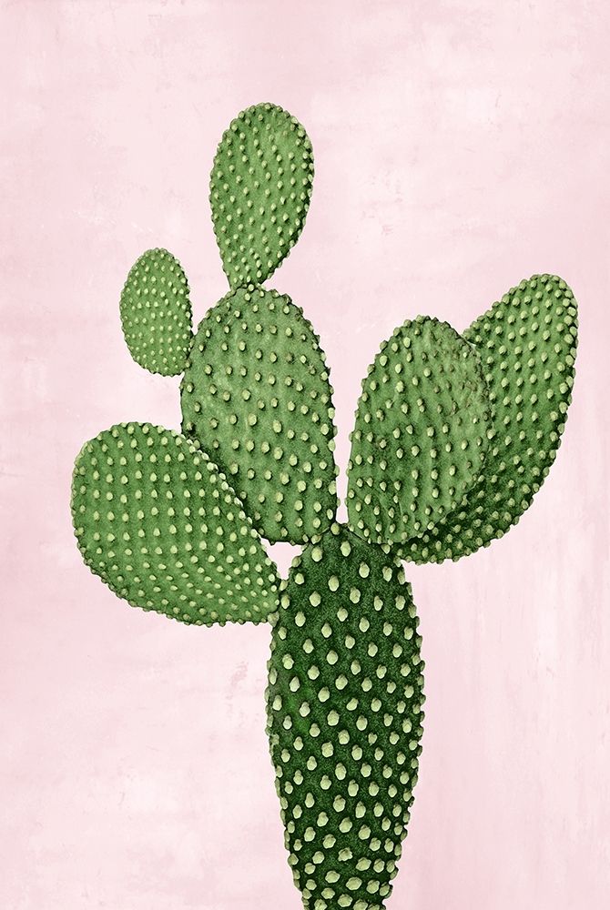 Cactus on Pink VIII art print by Mia Jensen for $57.95 CAD