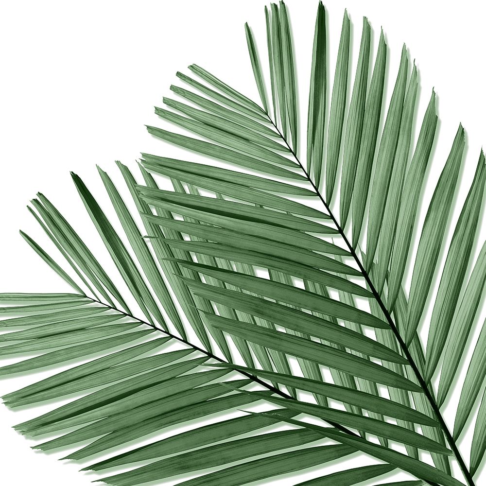 Palm Green I art print by Mia Jensen for $57.95 CAD