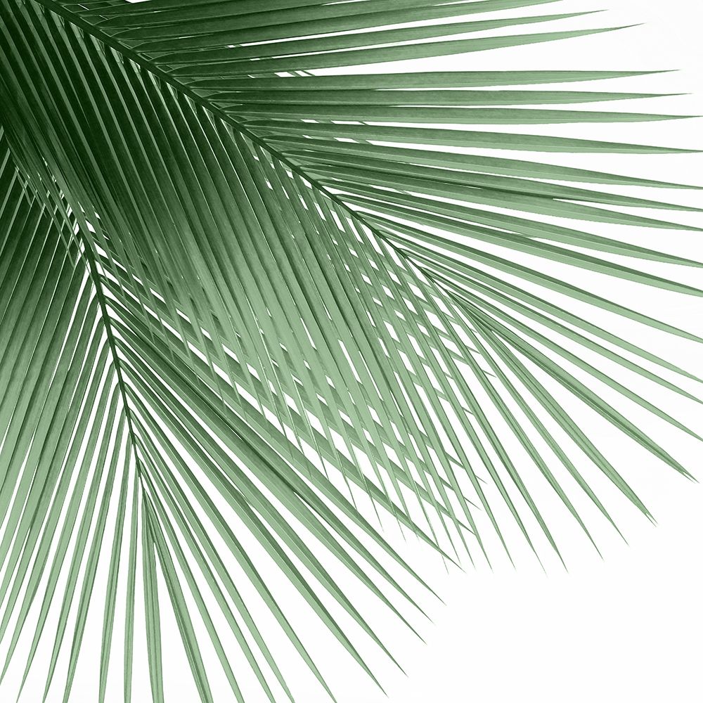 Palm Green VI art print by Mia Jensen for $57.95 CAD