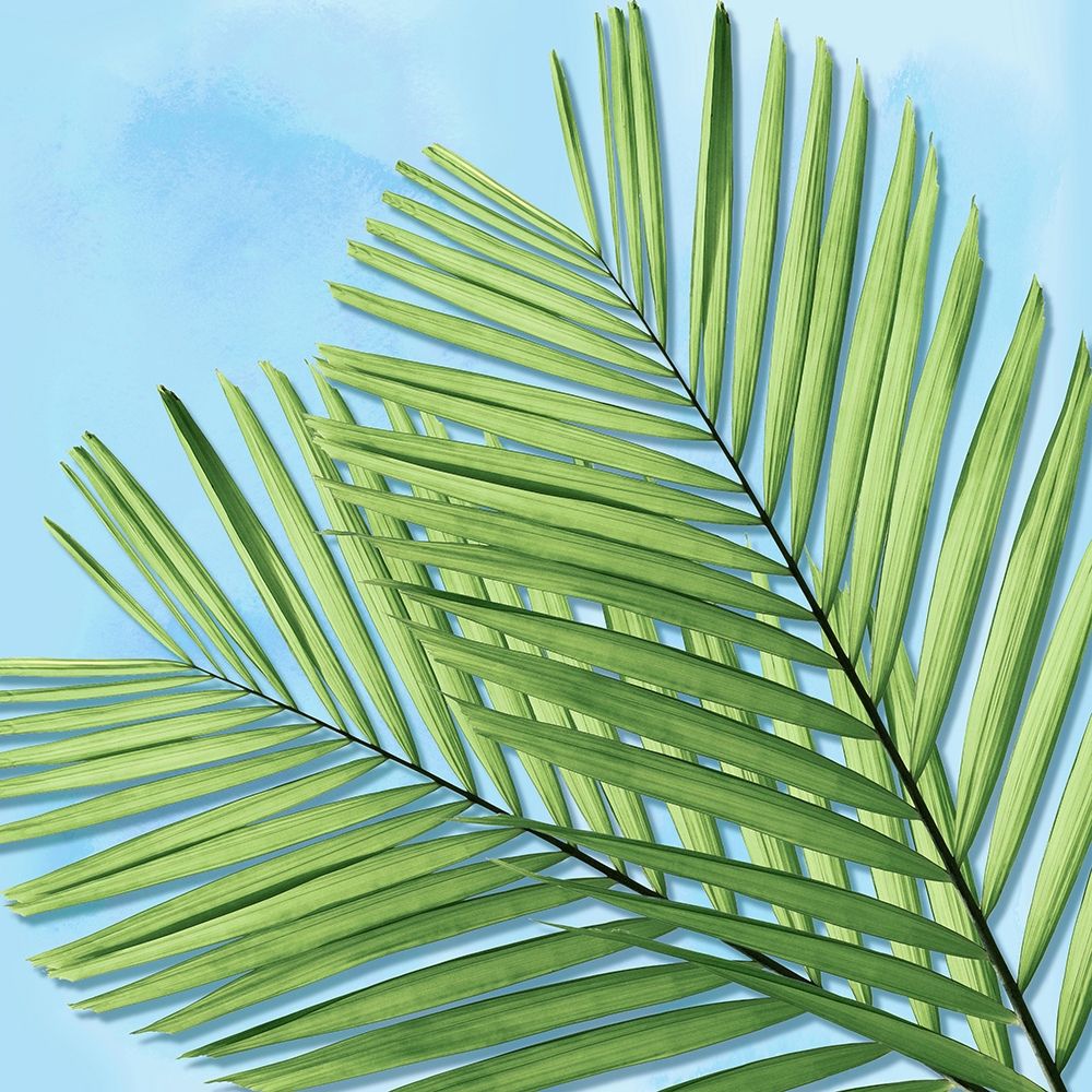 Palm on Blue I art print by Mia Jensen for $57.95 CAD