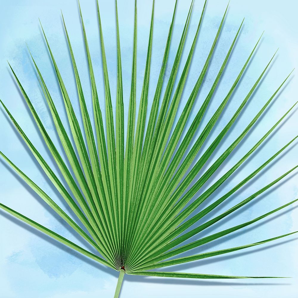 Palm on Blue III art print by Mia Jensen for $57.95 CAD