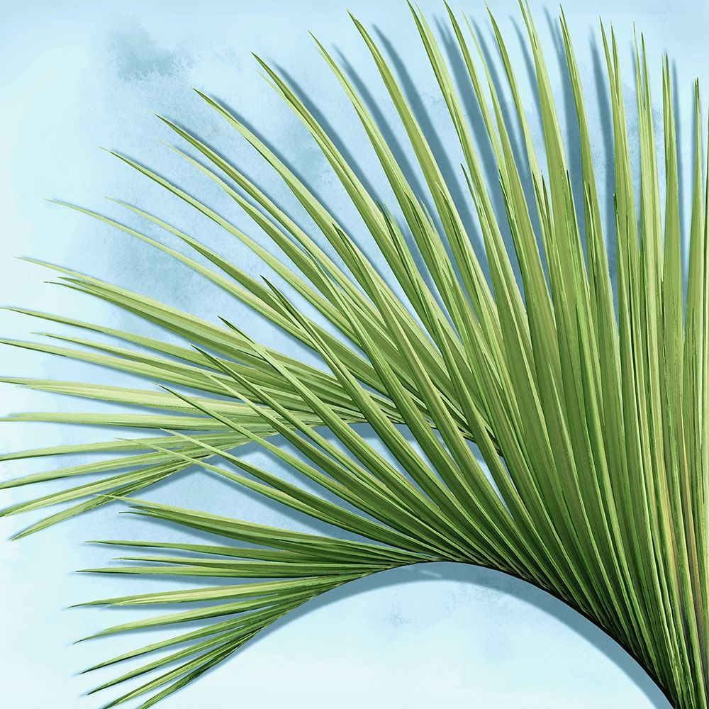 Palm on Blue IV art print by Mia Jensen for $57.95 CAD