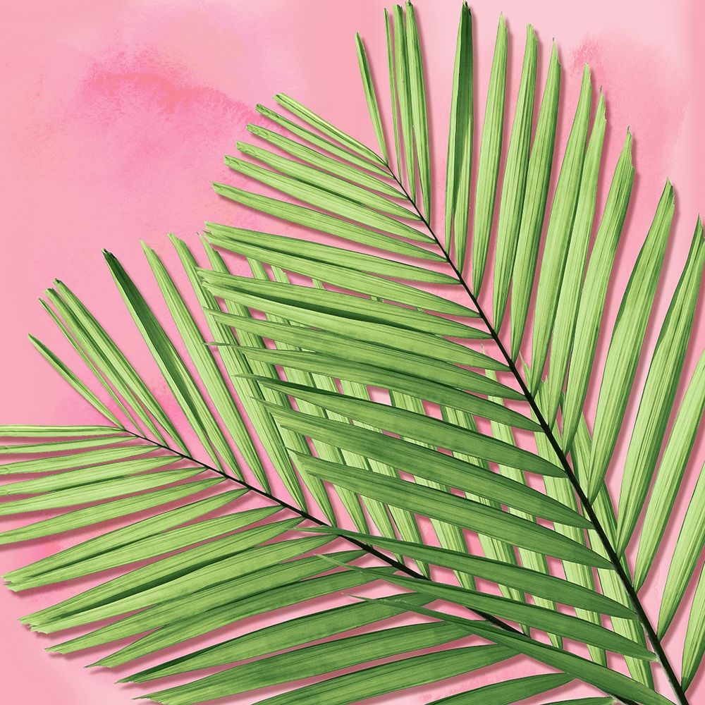 Palm on Pink I art print by Mia Jensen for $57.95 CAD