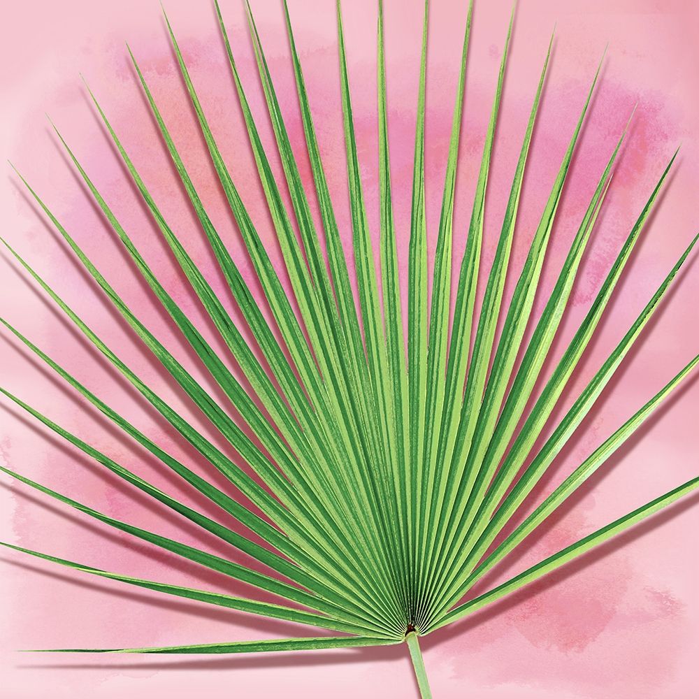 Palm on Pink III art print by Mia Jensen for $57.95 CAD