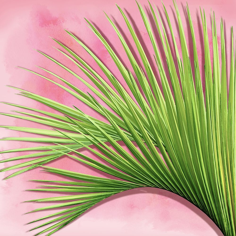 Palm on Pink IV art print by Mia Jensen for $57.95 CAD